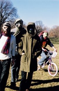 Animal Collective