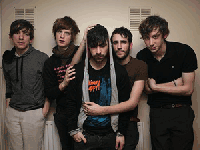 Foals