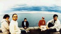 The Avalanches