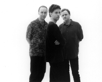The Necks