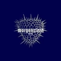 Morgenstern > Cold