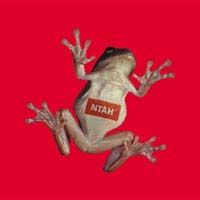 Adrian Sherwood > Never Trust A Hippy