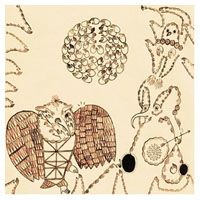 Devendra Banhart > Rejoicing in the hands