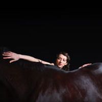 My Brightest Diamond > Bring Me The Workhorse