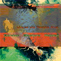 Frode Gjerstad > Live at the Termite Club 
