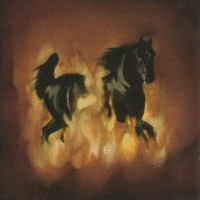 The Besnard Lakes > The Besnard Lakes Are the Dark Horse 