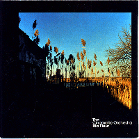 Cinematic Orchestra > Ma Fleur