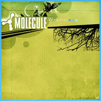 Molecule > Workshop