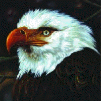 Mogwai > The hawk is howling