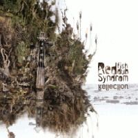 Red Fish Dub Syndrom > Reflection