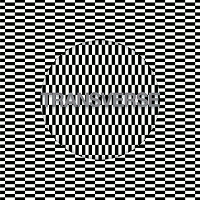 Carter Tutti Void > Transverse